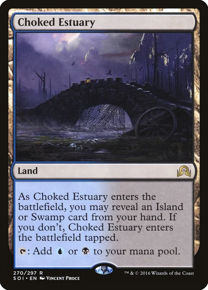 Choked Estuary [SOI - 270]